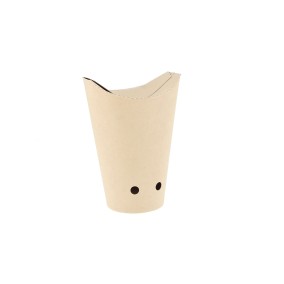 Bamboo paper chip cone